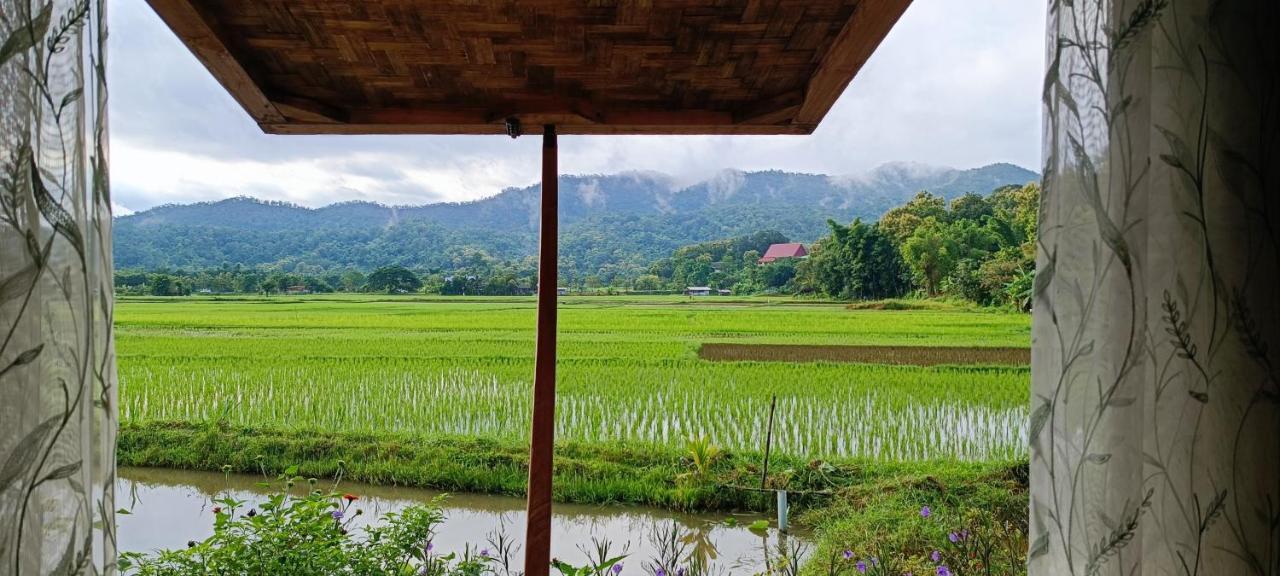 Kaewma Farmstay Khuang Kom エクステリア 写真