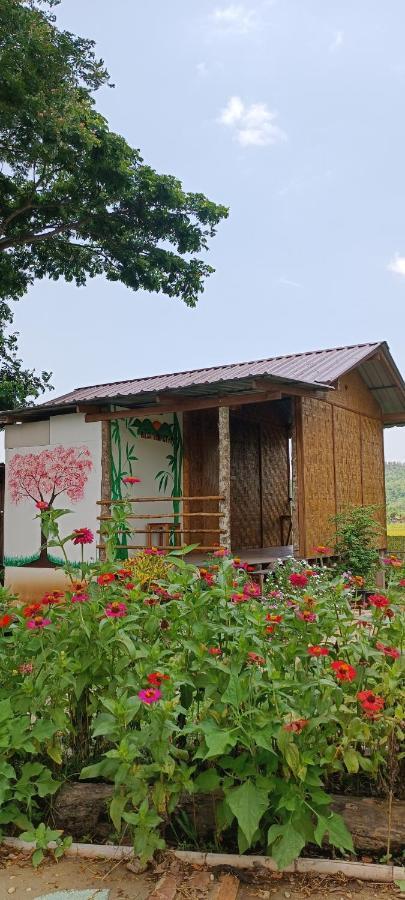 Kaewma Farmstay Khuang Kom エクステリア 写真