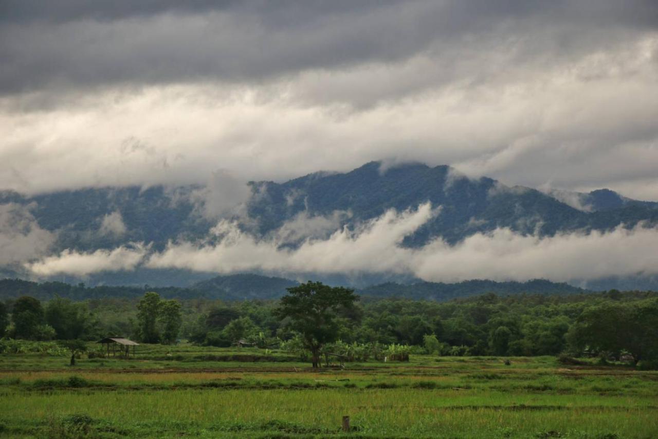 Kaewma Farmstay Khuang Kom エクステリア 写真