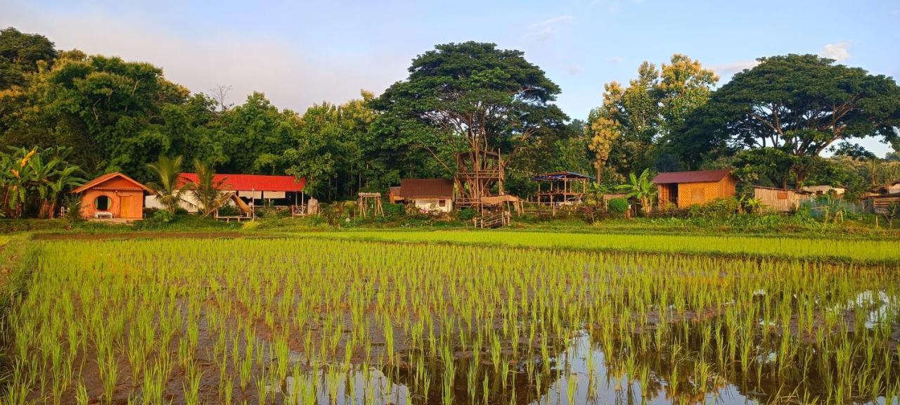 Kaewma Farmstay Khuang Kom エクステリア 写真