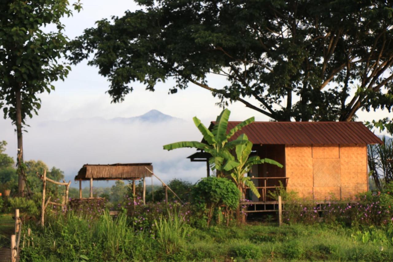 Kaewma Farmstay Khuang Kom エクステリア 写真