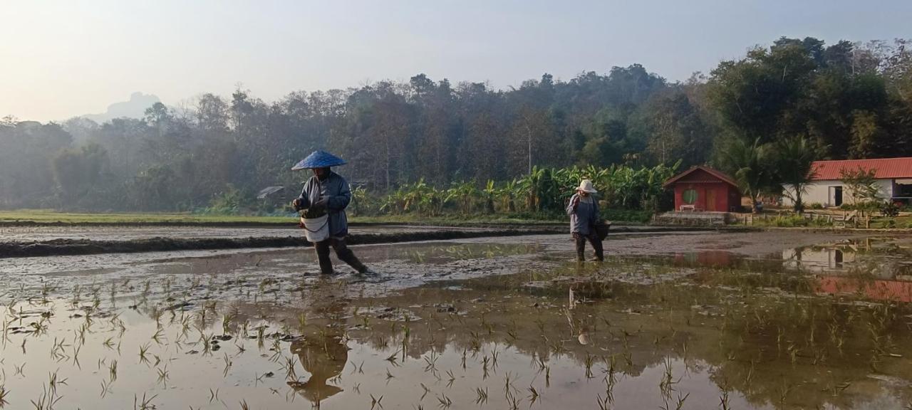 Kaewma Farmstay Khuang Kom エクステリア 写真