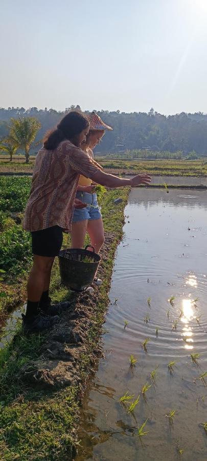 Kaewma Farmstay Khuang Kom エクステリア 写真