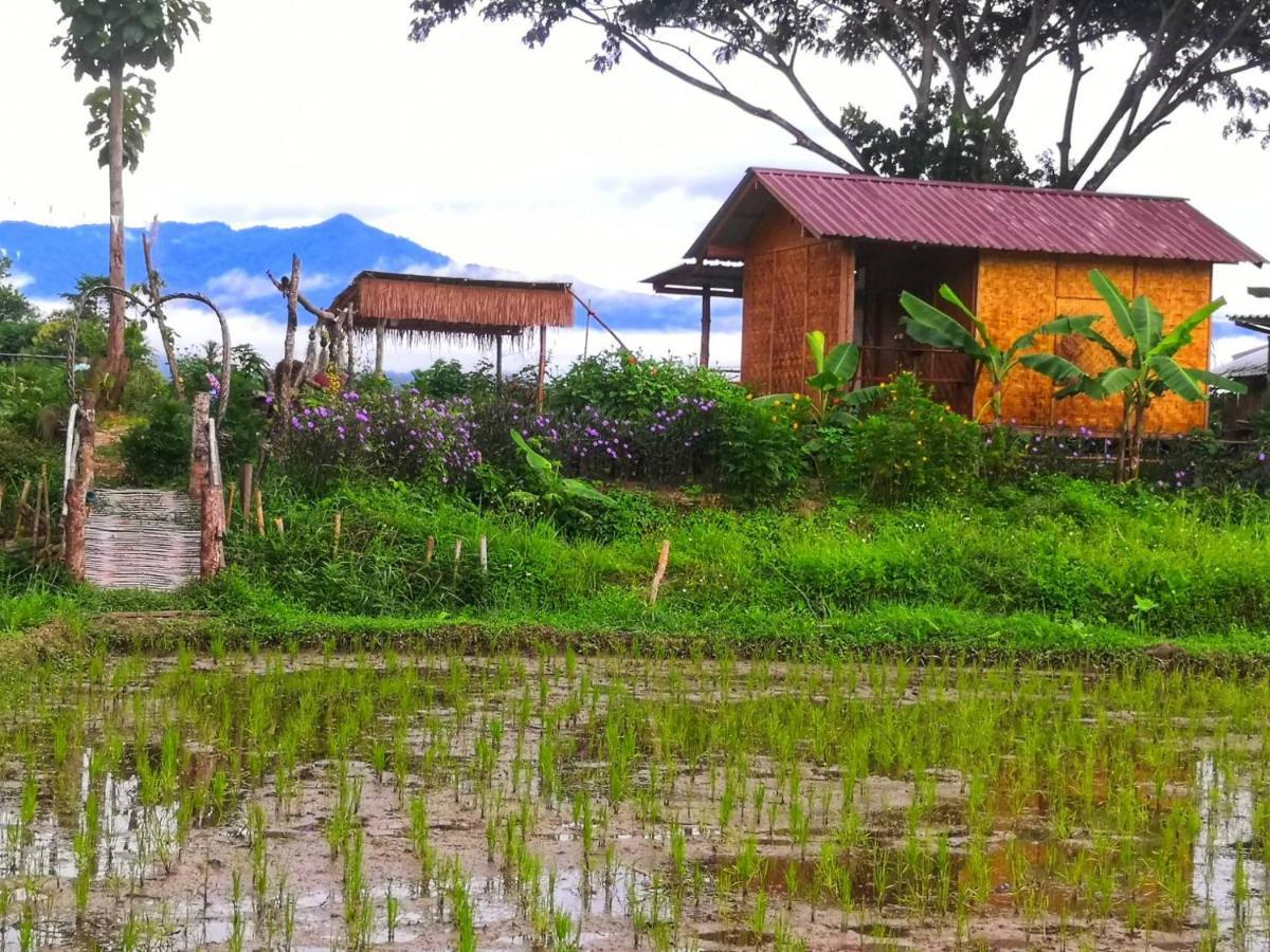 Kaewma Farmstay Khuang Kom エクステリア 写真