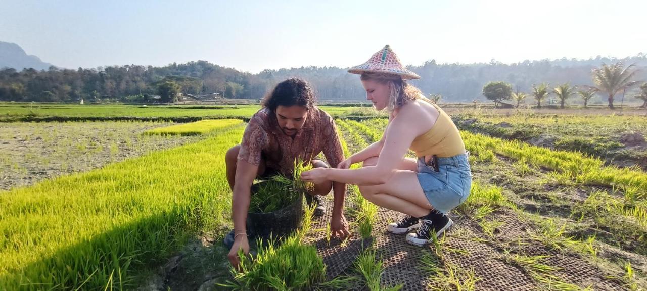 Kaewma Farmstay Khuang Kom エクステリア 写真