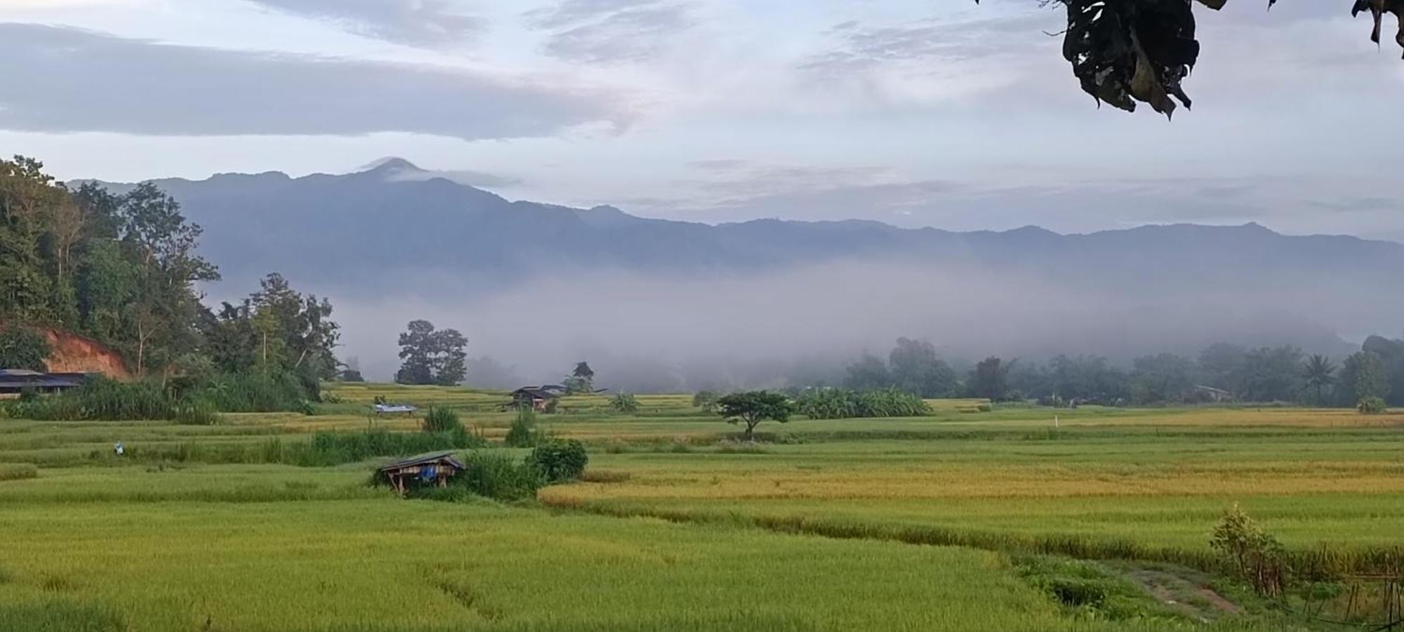 Kaewma Farmstay Khuang Kom エクステリア 写真