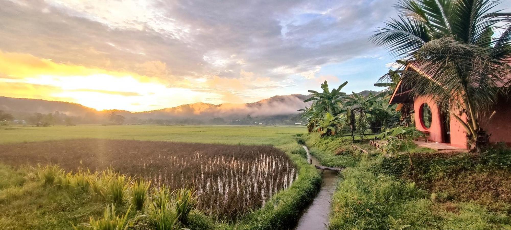 Kaewma Farmstay Khuang Kom 部屋 写真